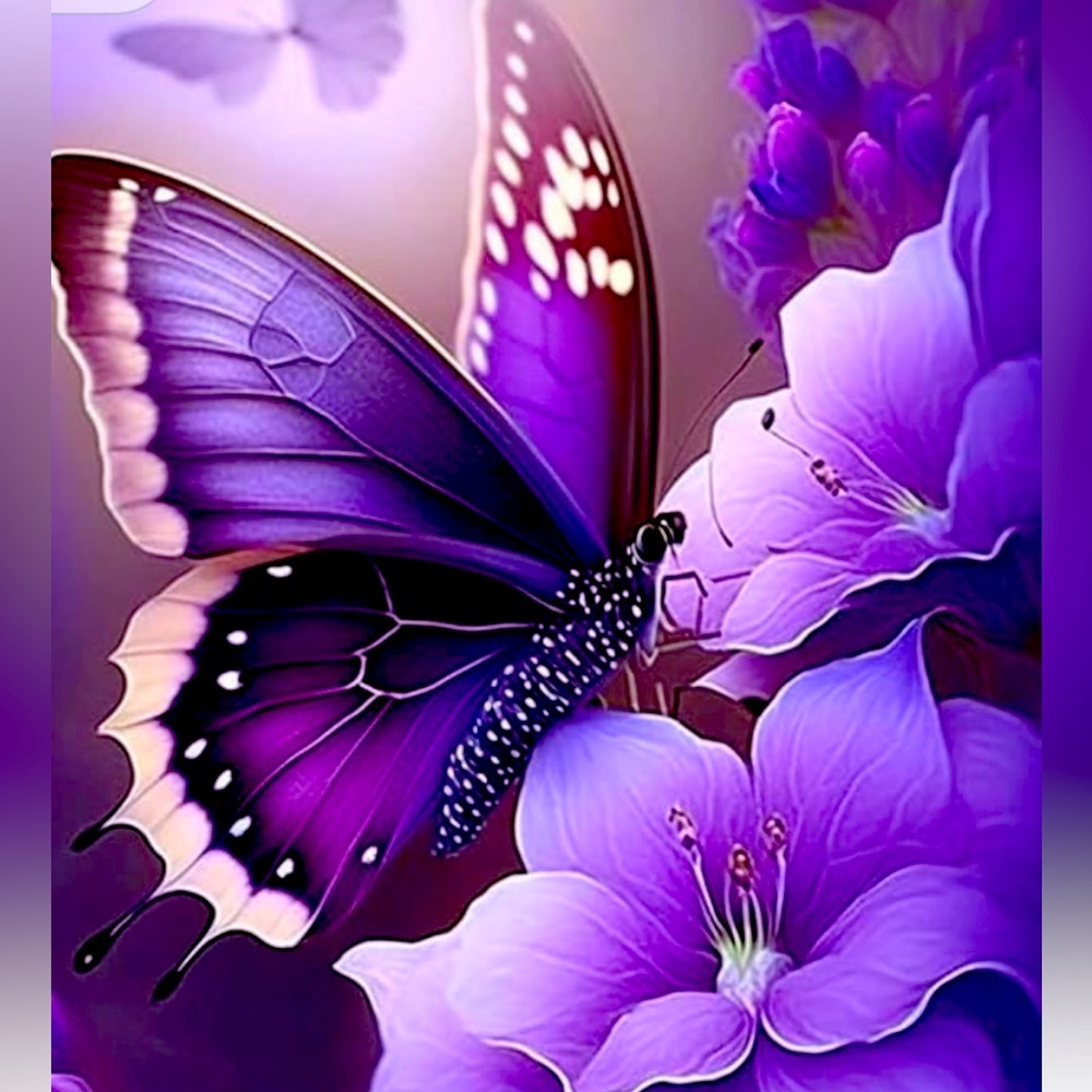 🦋🦋🛍️Live shows🔥Unlisted Items🤗 Great Deals🔥🦋🦋🛍️ 3-1-25-3-3-25 #17 & #18